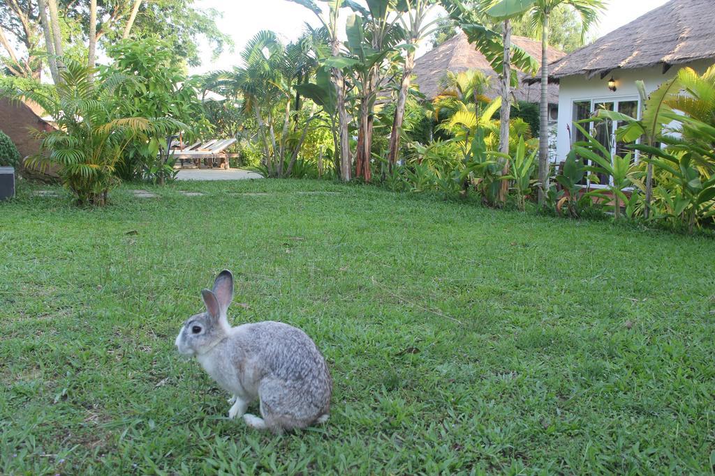 Blue Sea Boutique Hotel Sihanoukville Exteriér fotografie